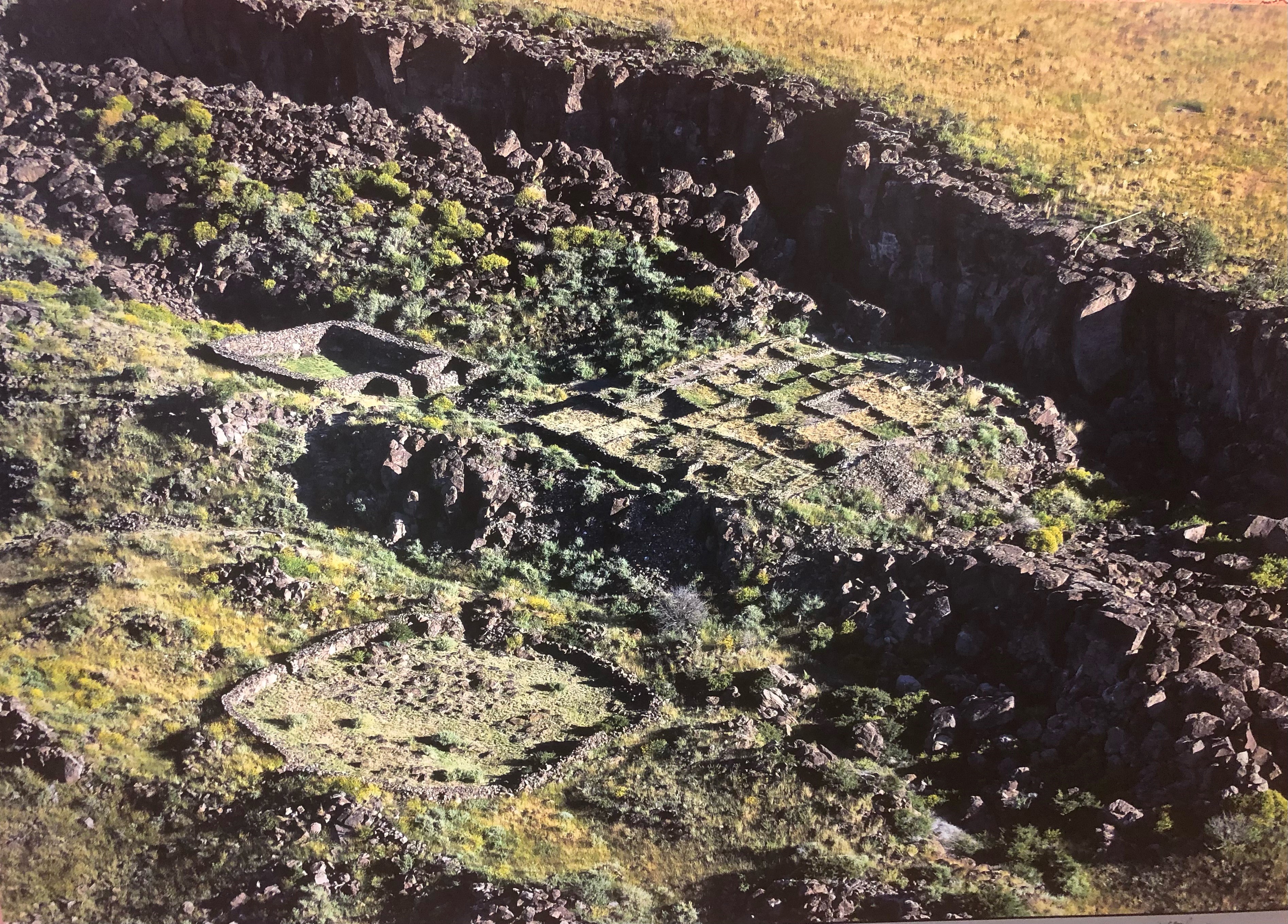 Aerial.jpg