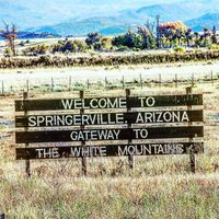 Town of Springerville Service Image