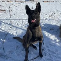 Police Department Service Image